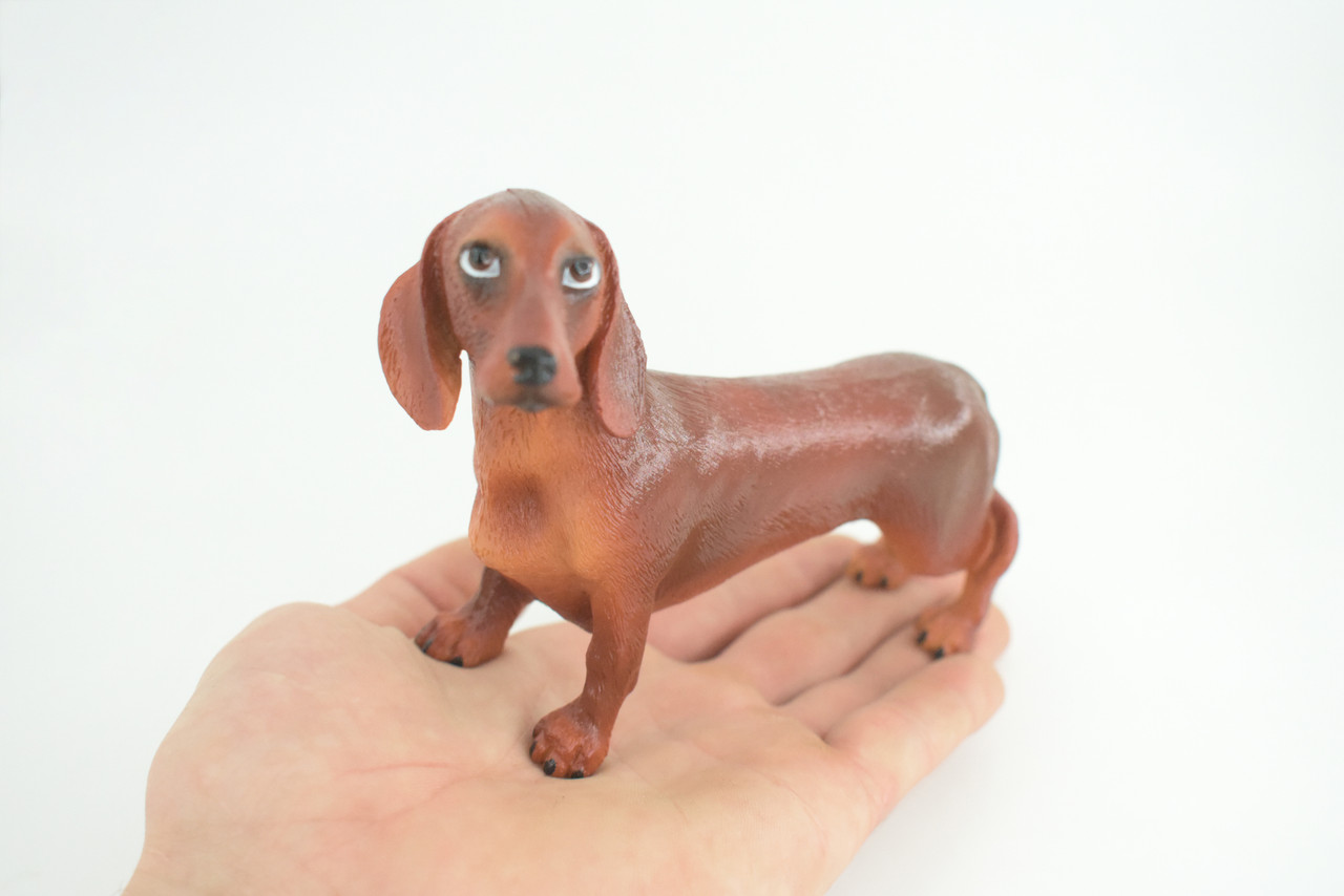 Dachshund Dog, Brown, Hand Painted, Educational, Museum Quality, Rubber Canine, K9, Realistic, Diorama, Figure, Toys, Kids, Gift, 6 Inches. CH979 BB213