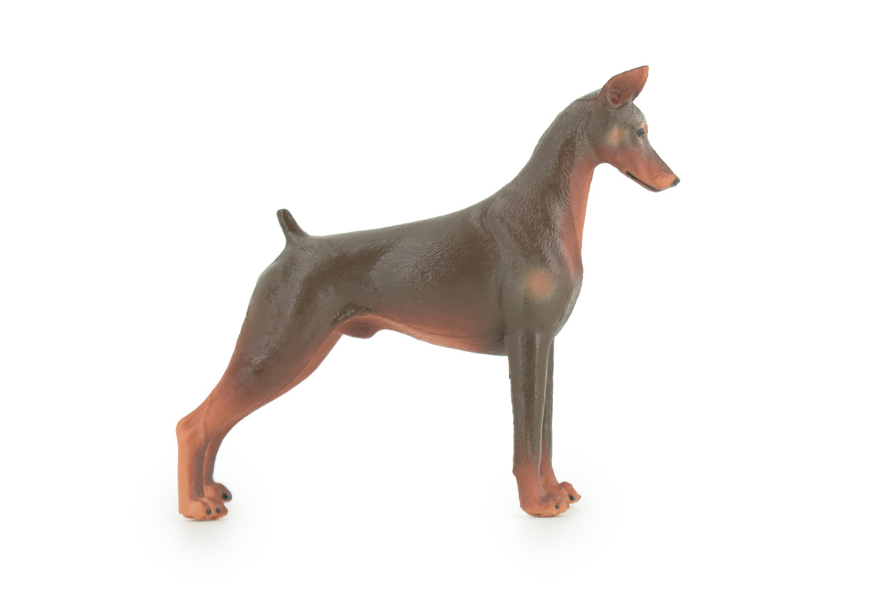 Dobermann Dog, Hand Painted, Educational, Museum Quality, Rubber Canine, K9, Realistic, Diorama, Figure, Toys, Kids, Gift, 4 Inches. CH980 BB213