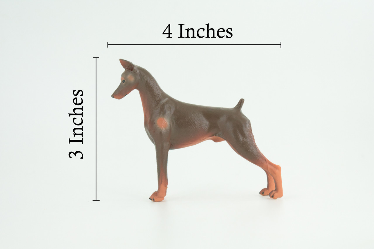 Dobermann Dog, Hand Painted, Educational, Museum Quality, Rubber Canine, K9, Realistic, Diorama, Figure, Toys, Kids, Gift, 4 Inches. CH980 BB213