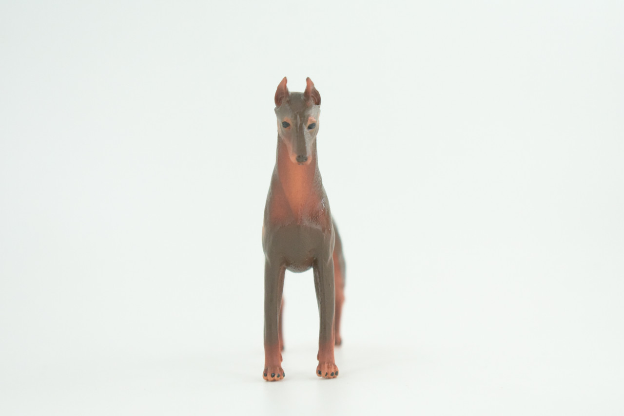 Dobermann Dog, Hand Painted, Educational, Museum Quality, Rubber Canine, K9, Realistic, Diorama, Figure, Toys, Kids, Gift,  4 Inches.  CH980 BB213 