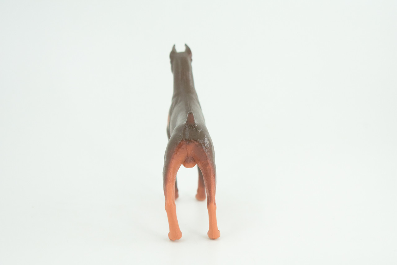 Dobermann Dog, Hand Painted, Educational, Museum Quality, Rubber Canine, K9, Realistic, Diorama, Figure, Toys, Kids, Gift,  4 Inches.  CH980 BB213 