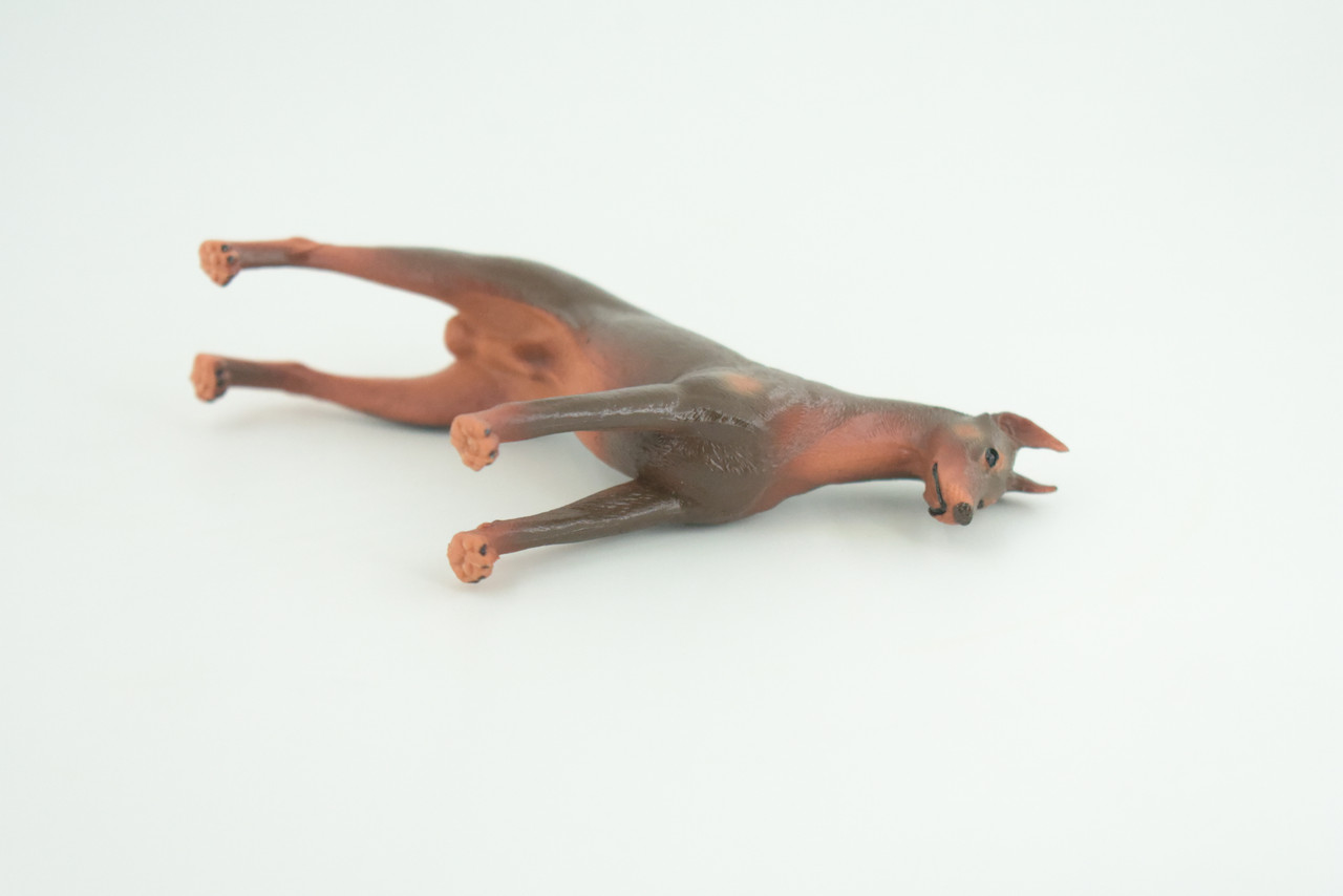 Dobermann Dog, Hand Painted, Educational, Museum Quality, Rubber Canine, K9, Realistic, Diorama, Figure, Toys, Kids, Gift,  4 Inches.  CH980 BB213 