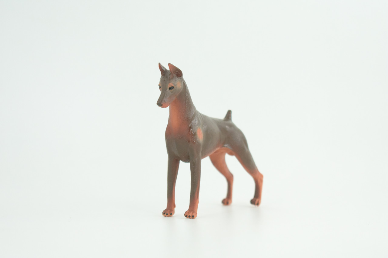 Dobermann Dog, Hand Painted, Educational, Museum Quality, Rubber Canine, K9, Realistic, Diorama, Figure, Toys, Kids, Gift,  4 Inches.  CH980 BB213 