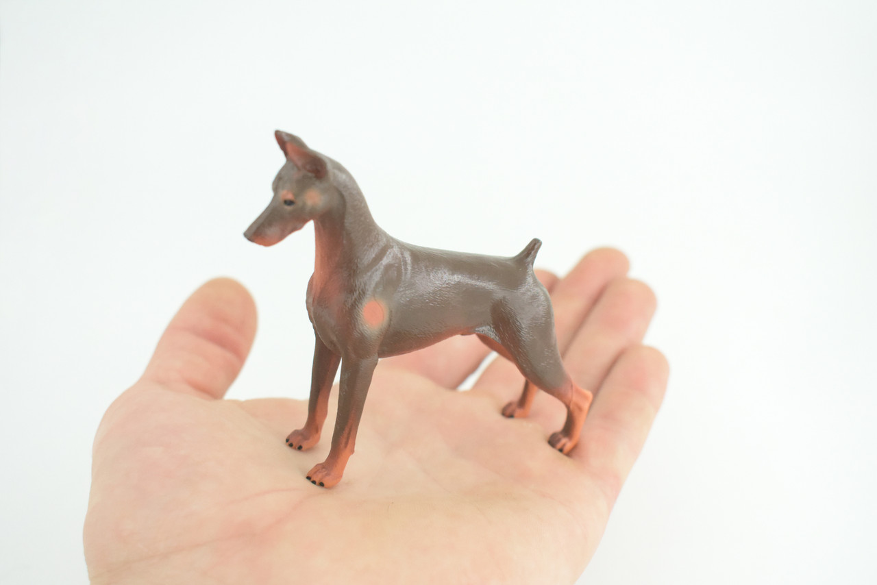 Dobermann Dog, Hand Painted, Educational, Museum Quality, Rubber Canine, K9, Realistic, Diorama, Figure, Toys, Kids, Gift, 4 Inches. CH980 BB213