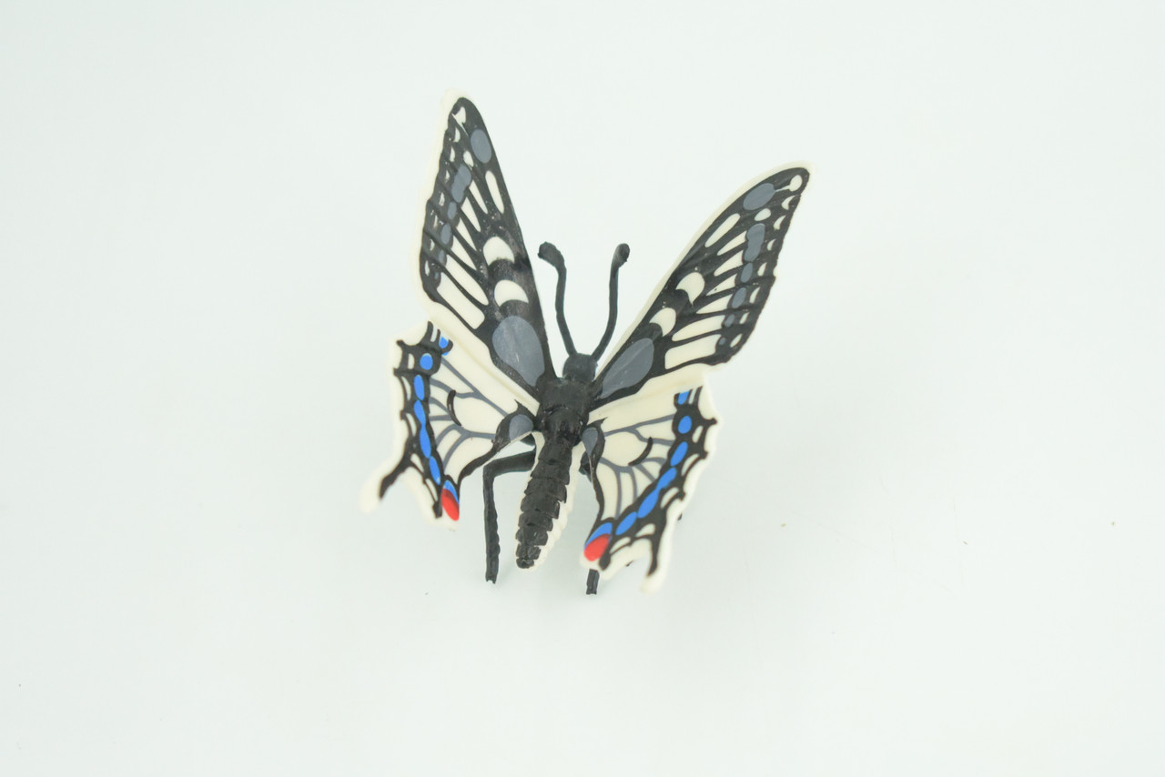 Butterfly Life Cycle,  4 Piece Set, Hand Painted, Educational, High Quality Rubber Insect, Realistic, Diorama, Figure, Toys, Kids, Gift,  3  Inches.   CH982 BB214
