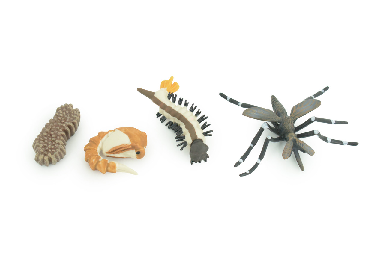 Mosquito Life Cycle, 4 Piece Set, Hand Painted, Educational, High Quality Rubber Insect, Realistic, Diorama, Figure, Toys, Kids, Gift, 3 Inches. CH983 BB214 