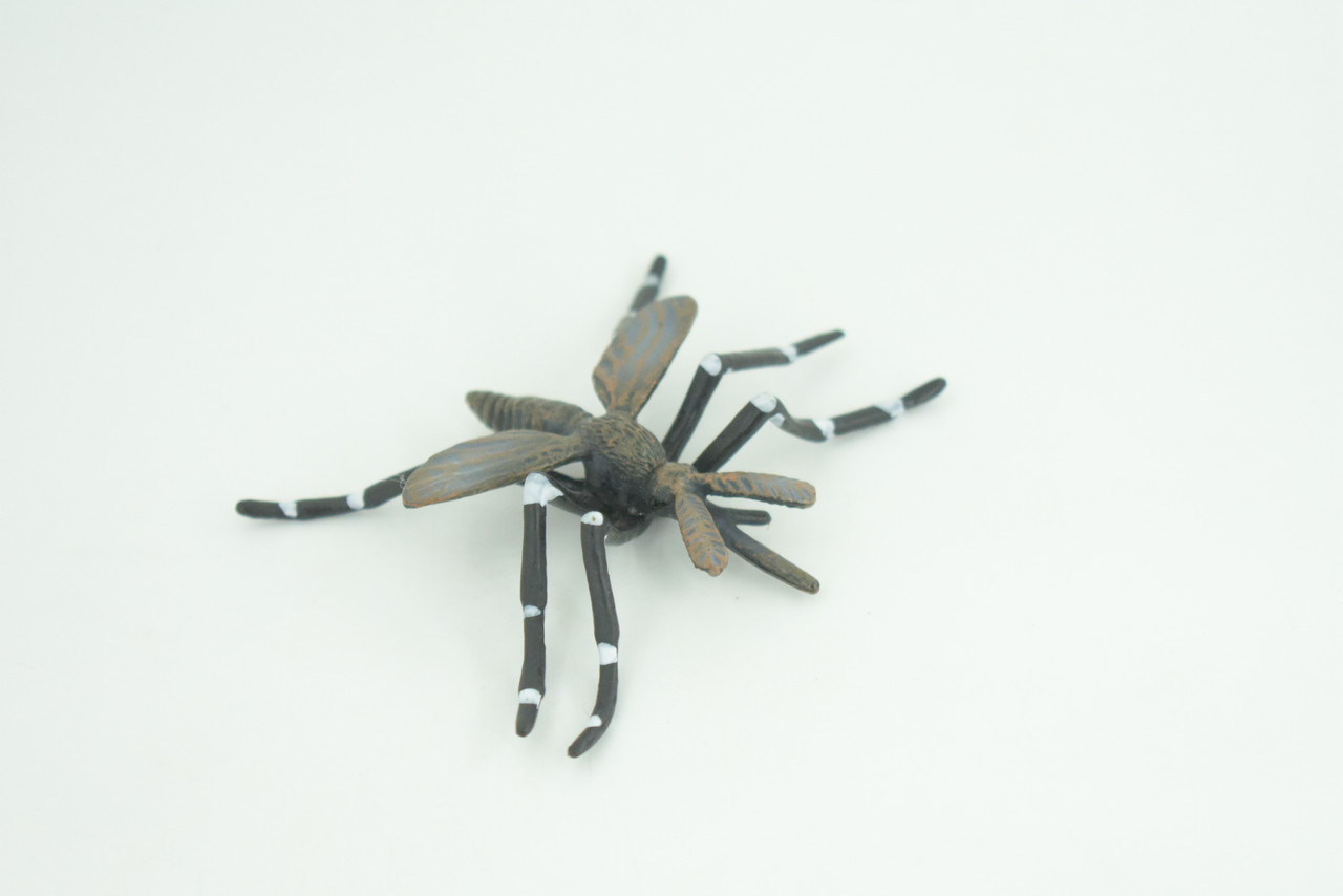Mosquito Life Cycle, 4 Piece Set, Hand Painted, Educational, High Quality Rubber Insect, Realistic, Diorama, Figure, Toys, Kids, Gift,  3  Inches.   CH983 BB214