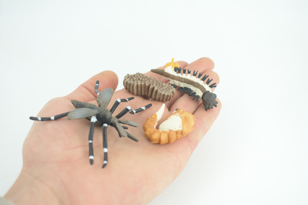 Mosquito Life Cycle, 4 Piece Set, Hand Painted, Educational, High Quality Rubber Insect, Realistic, Diorama, Figure, Toys, Kids, Gift, 3 Inches. CH983 BB214 