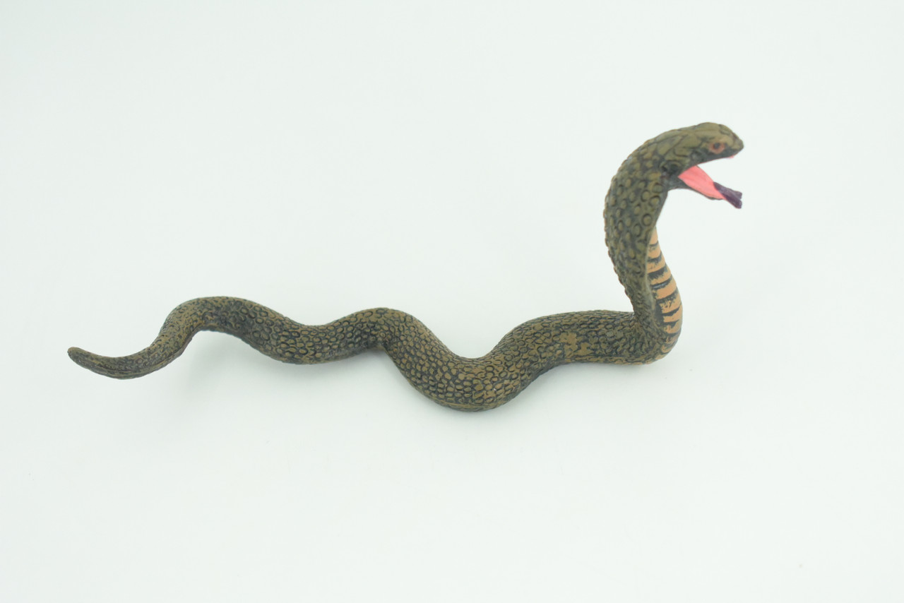 Cobra Snake Life Cycle, 4 Piece Set, Hand Painted, Educational, High Quality Rubber Reptile, Realistic, Diorama, Figure, Toys, Kids, Gift,  6  Inches.   CH986 BB214