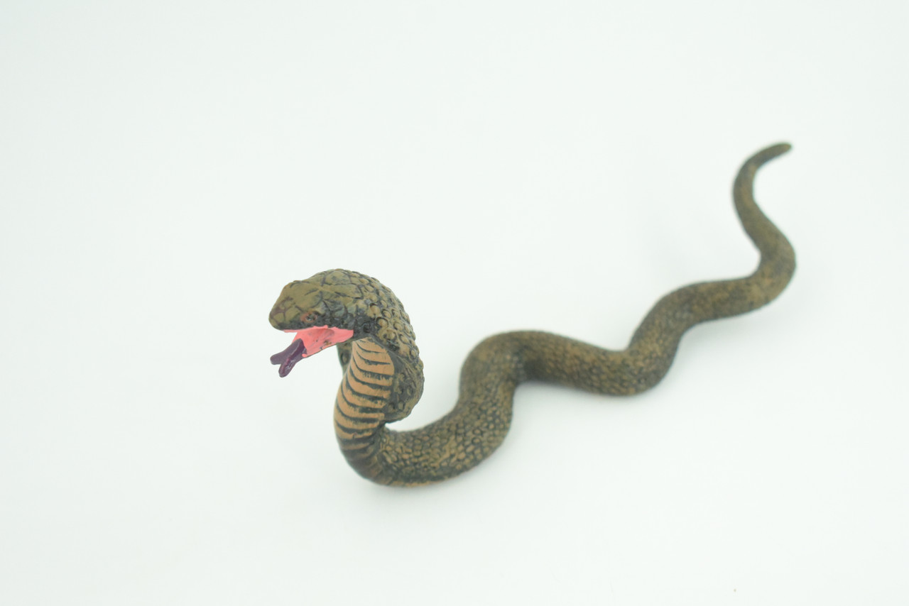 Cobra Snake Life Cycle, 4 Piece Set, Hand Painted, Educational, High Quality Rubber Reptile, Realistic, Diorama, Figure, Toys, Kids, Gift,  6  Inches.   CH986 BB214
