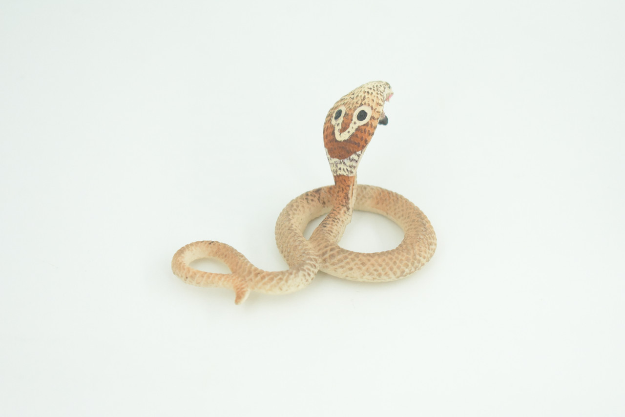 Cobra Snake Life Cycle, 4 Piece Set, Hand Painted, Educational, High Quality Rubber Reptile, Realistic, Diorama, Figure, Toys, Kids, Gift,  3 1/2  Inches.   CH987 BB214