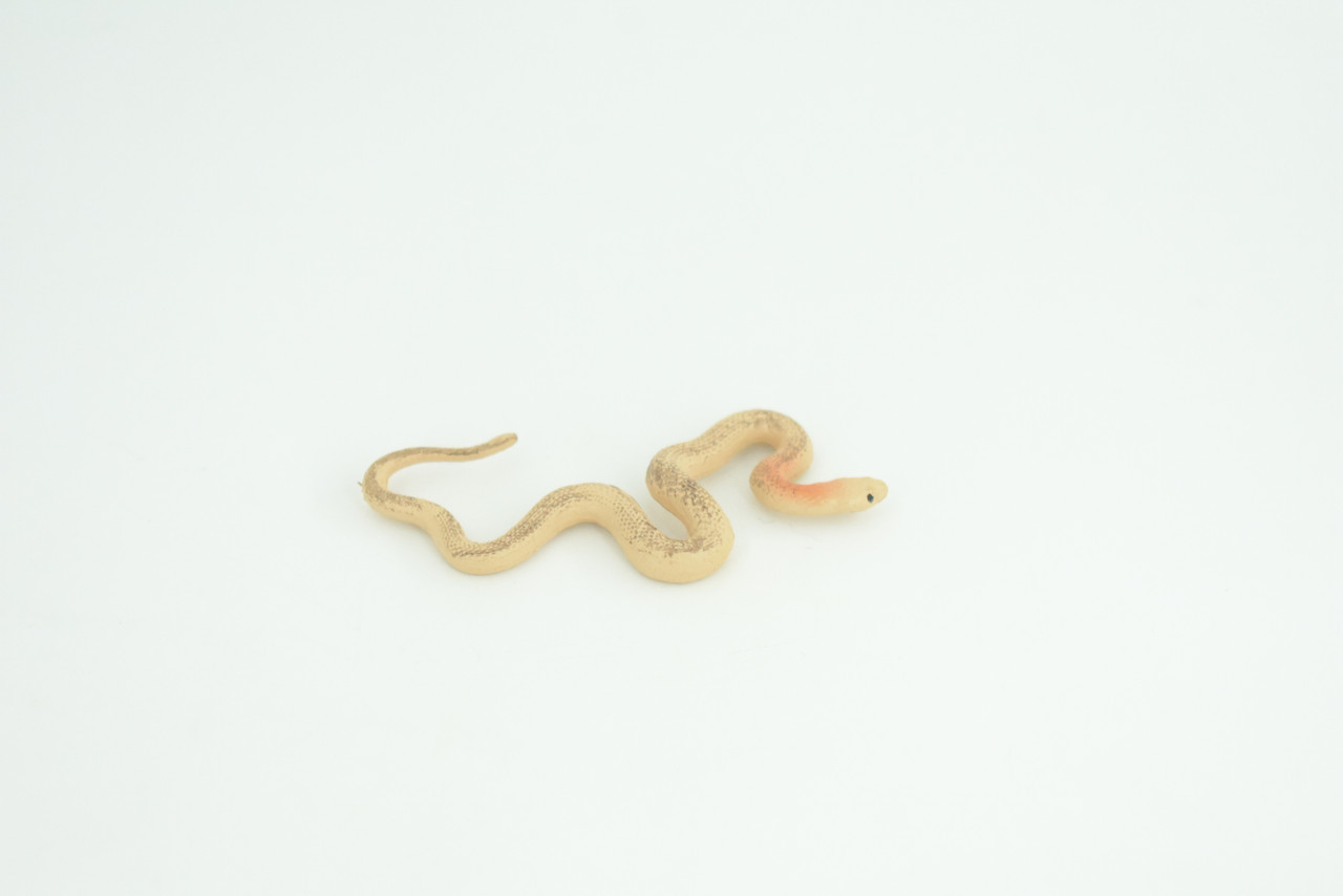 Cobra Snake Life Cycle, 4 Piece Set, Hand Painted, Educational, High Quality Rubber Reptile, Realistic, Diorama, Figure, Toys, Kids, Gift,  3 1/2  Inches.   CH987 BB214