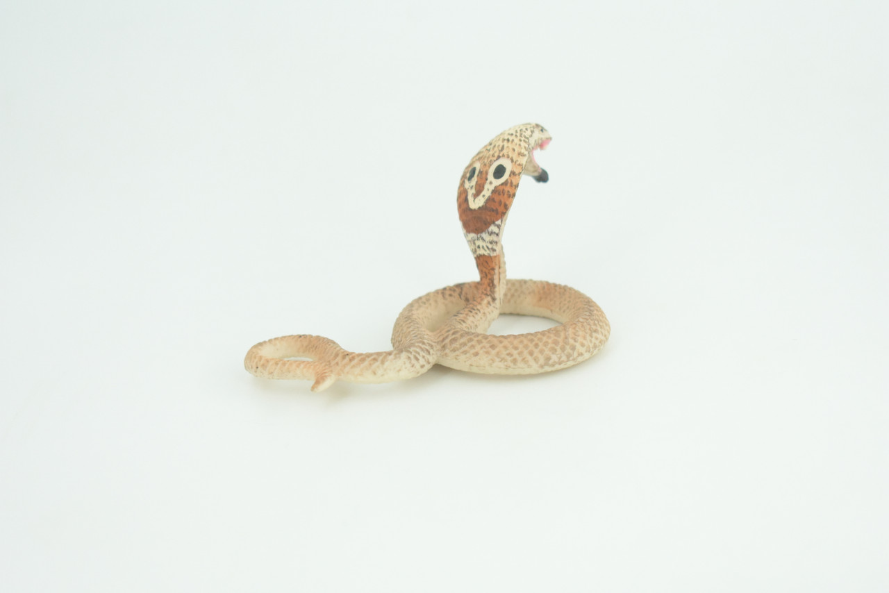 Cobra Snake Life Cycle, 4 Piece Set, Hand Painted, Educational, High Quality Rubber Reptile, Realistic, Diorama, Figure, Toys, Kids, Gift,  3 1/2  Inches.   CH987 BB214