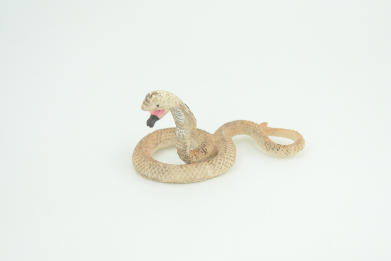 Cobra Snake Life Cycle, 4 Piece Set, Hand Painted, Educational, High Quality Rubber Reptile, Realistic, Diorama, Figure, Toys, Kids, Gift,  3 1/2  Inches.   CH987 BB214