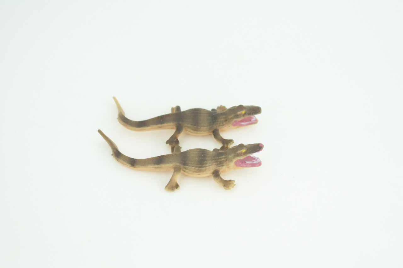 Alligator Life Cycle, 4 Piece Set, Hand Painted, Educational, High Quality Rubber Reptile, Realistic, Diorama, Figure, Toys, Kids, Gift,  4  Inches.   CH988 BB214