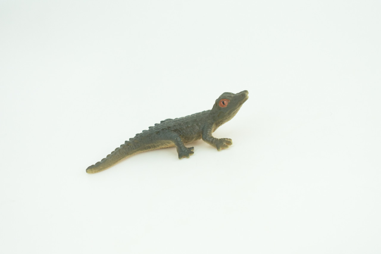 Crocodile Life Cycle, 4 Piece Set, Hand Painted, Educational, High Quality Rubber Reptile, Realistic, Diorama, Figure, Toys, Kids, Gift,  4 1/2  Inches.   CH989 BB215