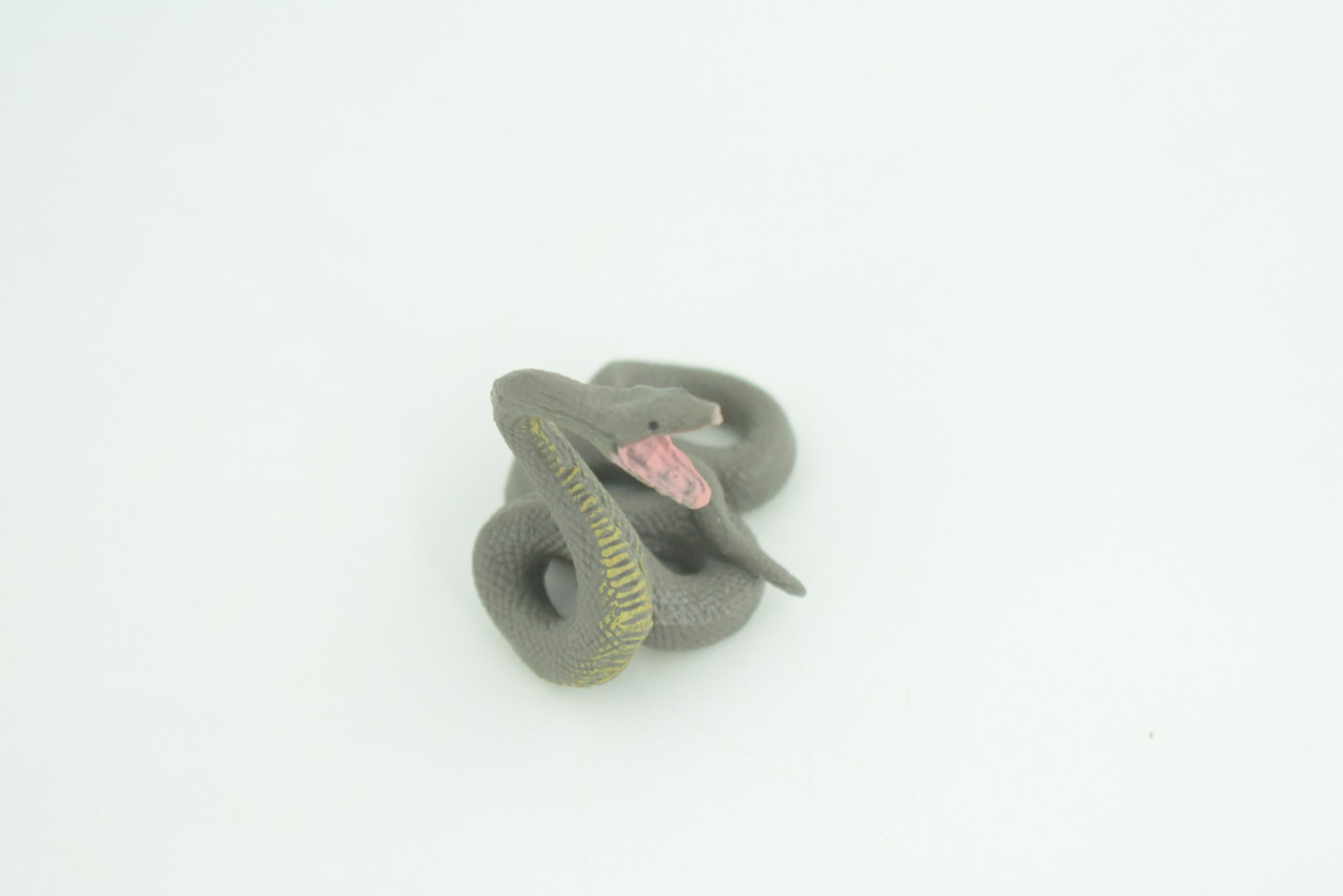 Python Life Cycle, 4 Piece Set, Hand Painted, Educational, High Quality Rubber Reptile, Realistic Snake, Diorama, Figure, Toys, Kids, Gift,  3 1/2  Inches.   CH990 BB215