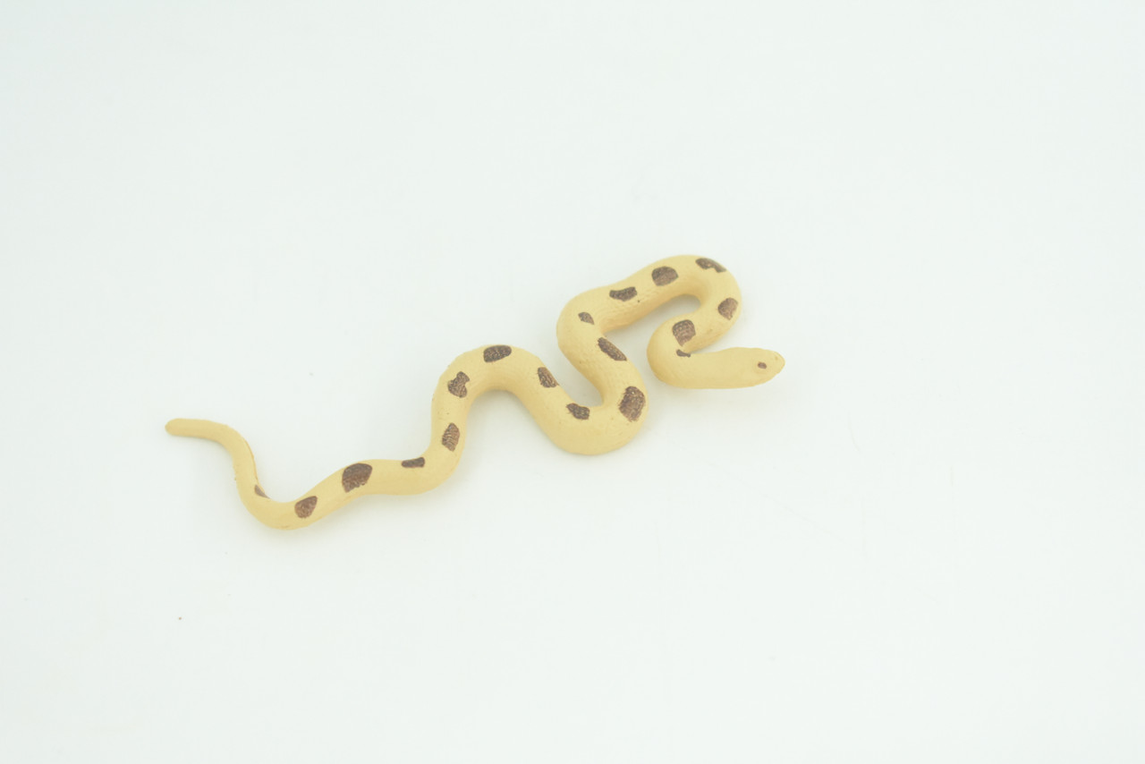 Python Life Cycle, 4 Piece Set, Hand Painted, Educational, High Quality Rubber Reptile, Realistic Snake, Diorama, Figure, Toys, Kids, Gift,  3 1/2  Inches.   CH990 BB215
