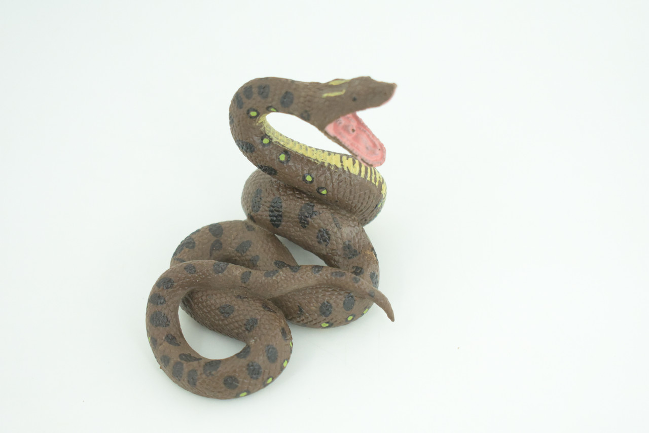 Python Life Cycle, 4 Piece Set, Hand Painted, Educational, High Quality Rubber Reptile, Realistic Snake, Diorama, Figure, Toys, Kids, Gift,  3 1/2  Inches.   CH990 BB215