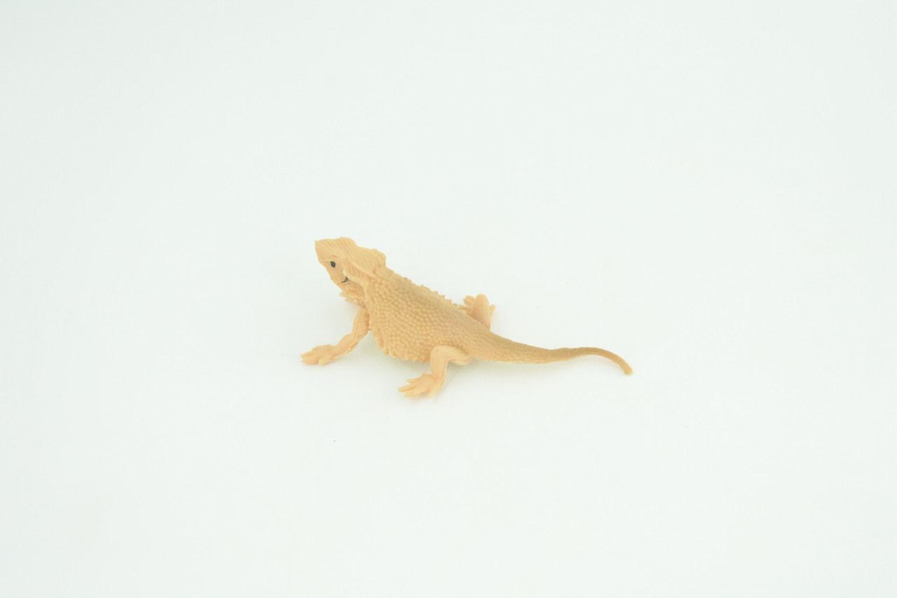 Bearded Dragon Life Cycle, 4 Piece Set, Hand Painted, Educational, High Quality Rubber Reptile, Realistic Lizard, Diorama, Figure, Toys, Kids, Gift,  5  Inches.   CH991 BB215