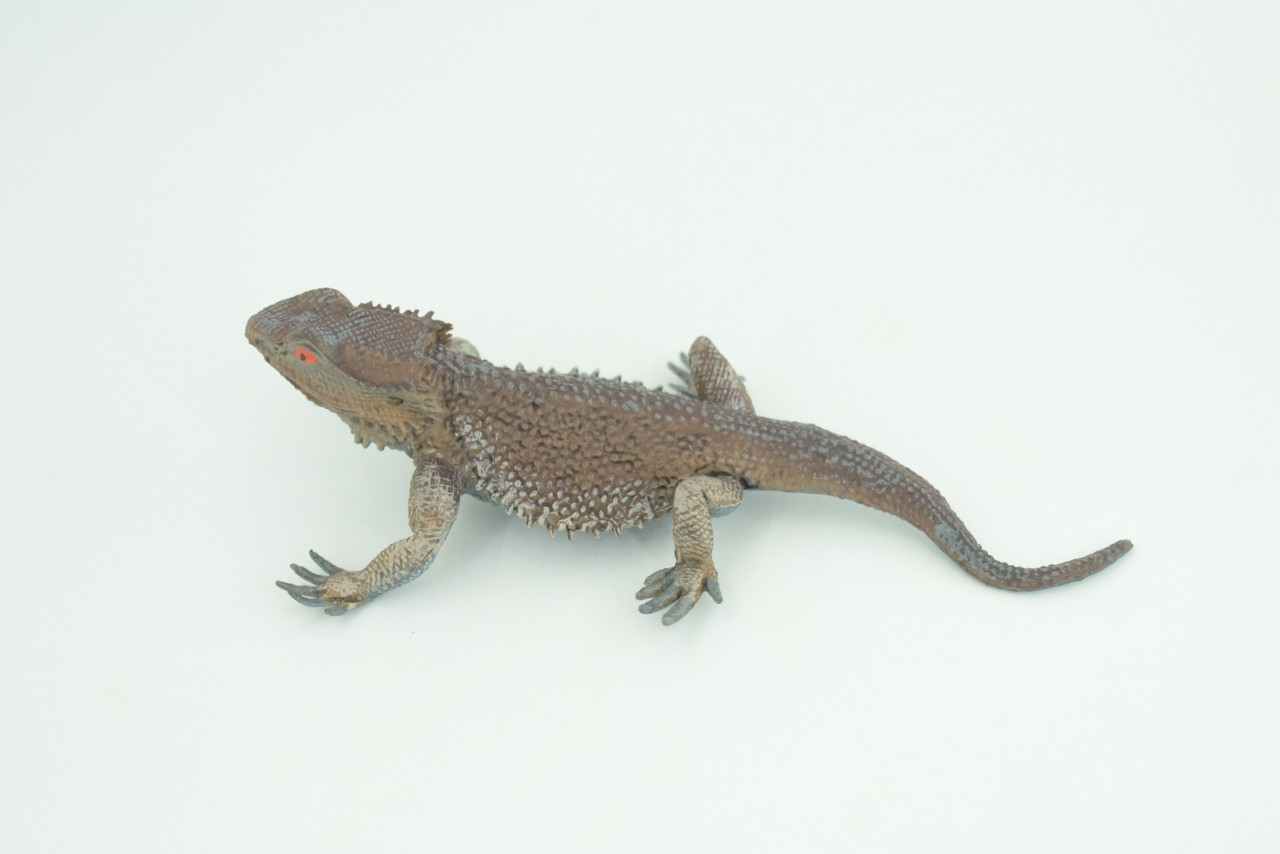 Bearded Dragon Life Cycle, 4 Piece Set, Hand Painted, Educational, High Quality Rubber Reptile, Realistic Lizard, Diorama, Figure, Toys, Kids, Gift,  5  Inches.   CH991 BB215