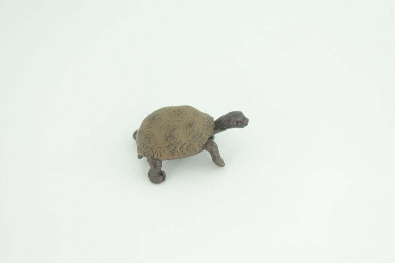 Galapagos Giant Tortoise Life Cycle, 4 Piece Set, Hand Painted, Educational, High Quality Rubber Reptile, Diorama, Figure, Toys, Kids, Gift,  3  Inches.   CH992 BB215 