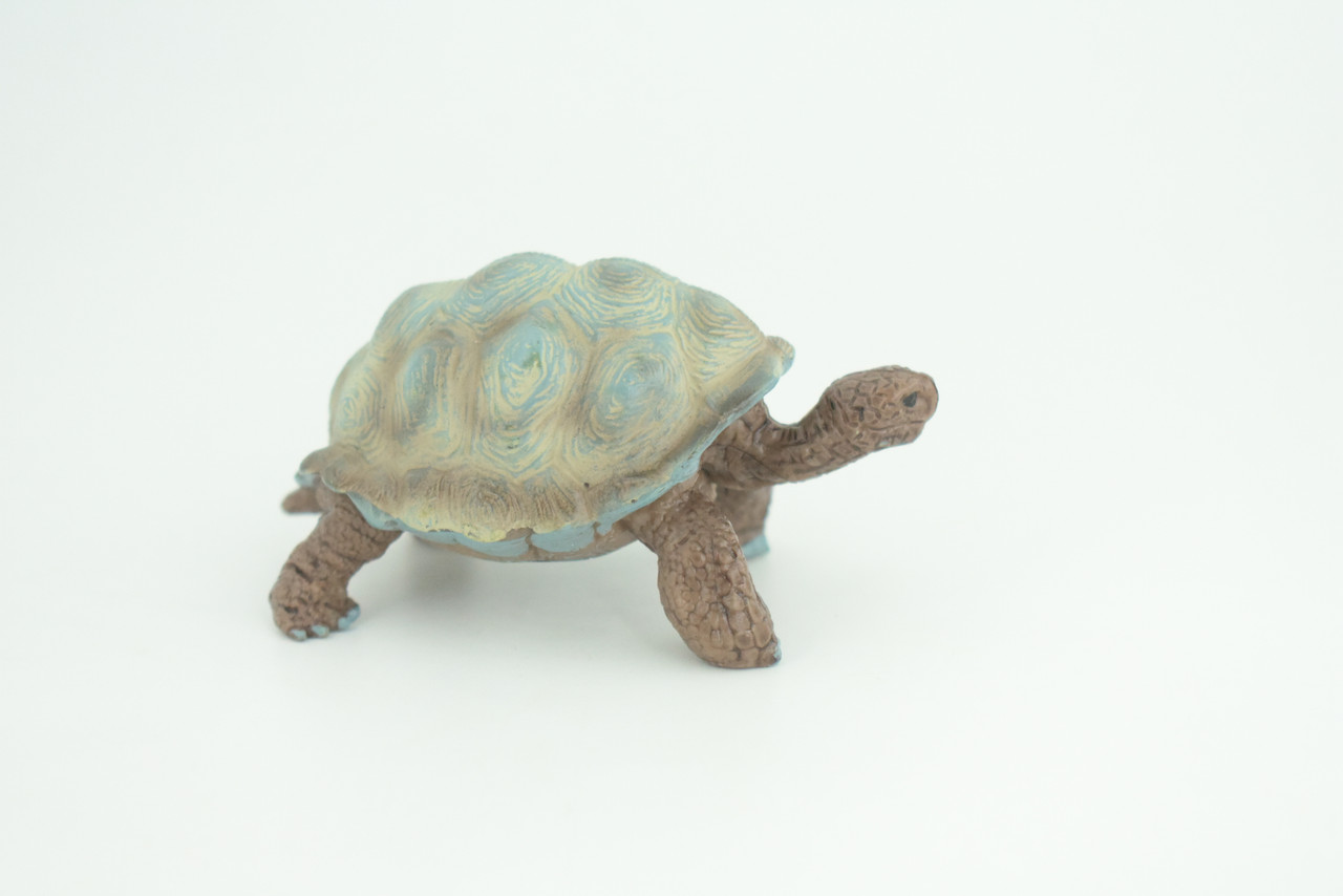 Galapagos Giant Tortoise Life Cycle, 4 Piece Set, Hand Painted, Educational, High Quality Rubber Reptile, Diorama, Figure, Toys, Kids, Gift,  3  Inches.   CH992 BB215 
