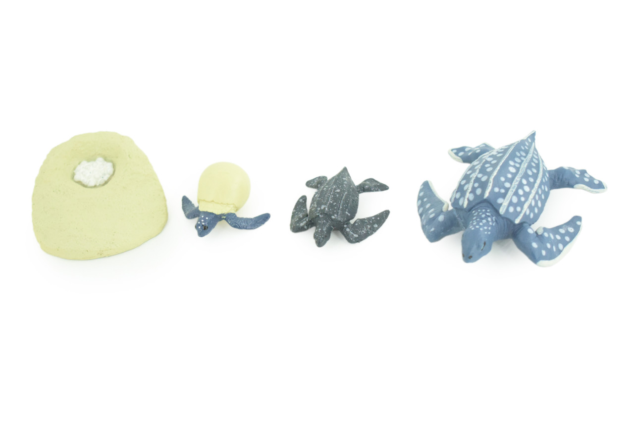 Leatherback Turtle Life Cycle, 4 Piece Set, Hand Painted, Educational, High Quality Rubber Reptile, Sea Turtle, Diorama, Figure, Toys, Kids, Gift, 3 Inches. CH993 BB215