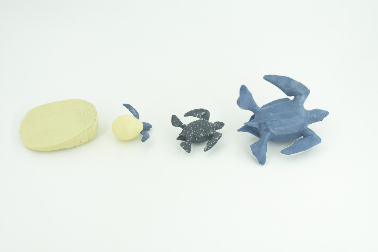 Leatherback Turtle Life Cycle, 4 Piece Set, Hand Painted, Educational, High Quality Rubber Reptile, Sea Turtle, Diorama, Figure, Toys, Kids, Gift,  3  Inches.   CH993 BB215 