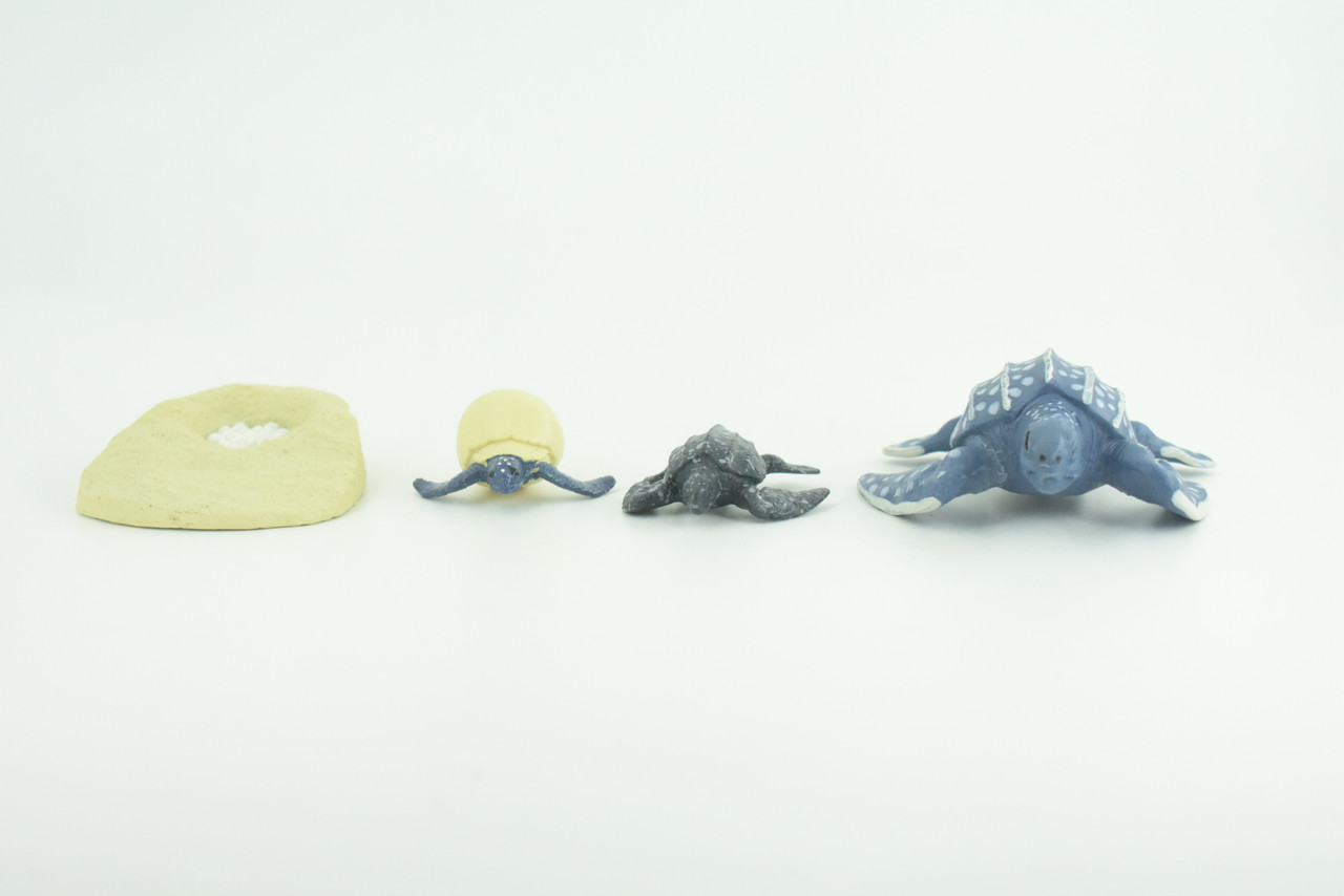 Leatherback Turtle Life Cycle, 4 Piece Set, Hand Painted, Educational, High Quality Rubber Reptile, Sea Turtle, Diorama, Figure, Toys, Kids, Gift,  3  Inches.   CH993 BB215 