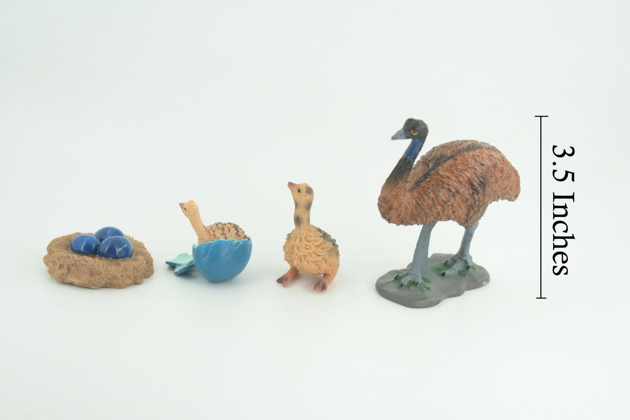 Emu Life Cycle, 4 Piece Set, Hand Painted, Educational, High Quality Rubber Bird, Realistic, Diorama, Figure, Toys, Kids, Gift, 3 1/2 Inches. CH996 BB215