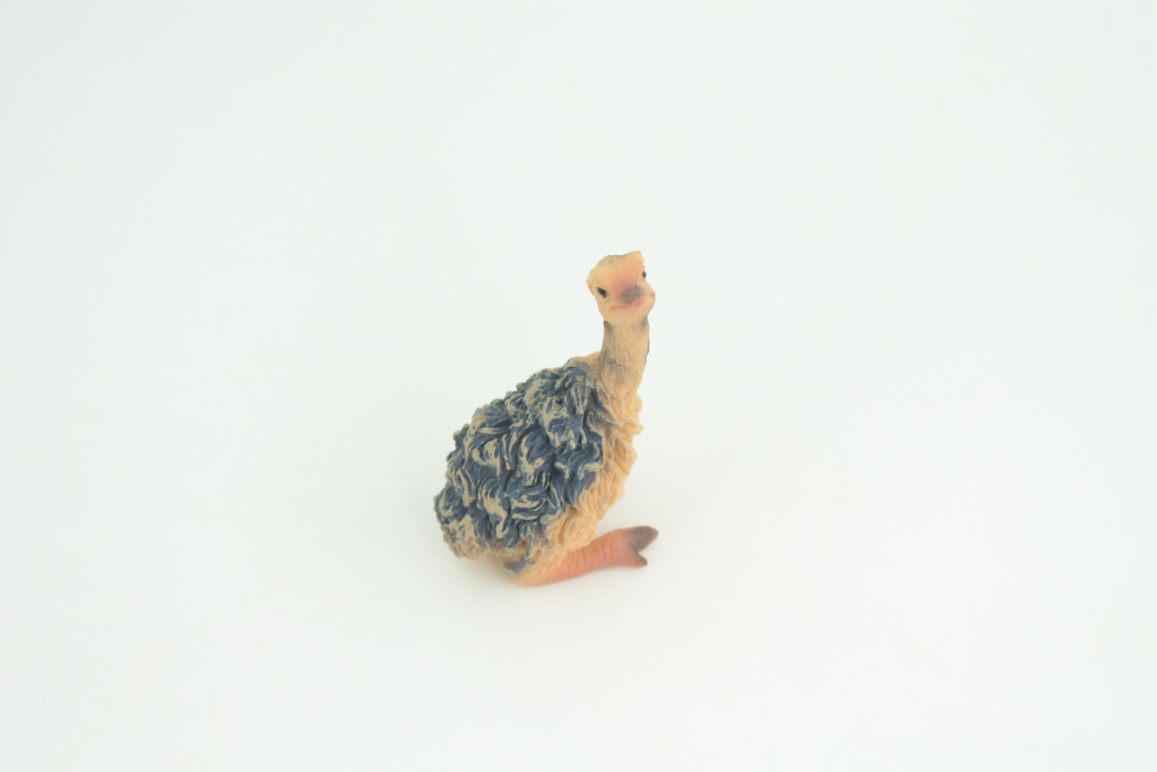 Emu Life Cycle, 4 Piece Set, Hand Painted, Educational, High Quality Rubber Bird, Realistic, Diorama, Figure, Toys, Kids, Gift,  3 1/2  Inches.   CH996 BB215