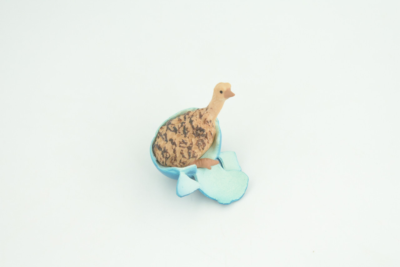 Emu Life Cycle, 4 Piece Set, Hand Painted, Educational, High Quality Rubber Bird, Realistic, Diorama, Figure, Toys, Kids, Gift,  3 1/2  Inches.   CH996 BB215