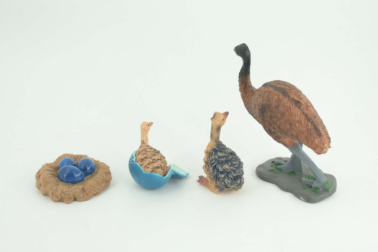 Emu Life Cycle, 4 Piece Set, Hand Painted, Educational, High Quality Rubber Bird, Realistic, Diorama, Figure, Toys, Kids, Gift,  3 1/2  Inches.   CH996 BB215