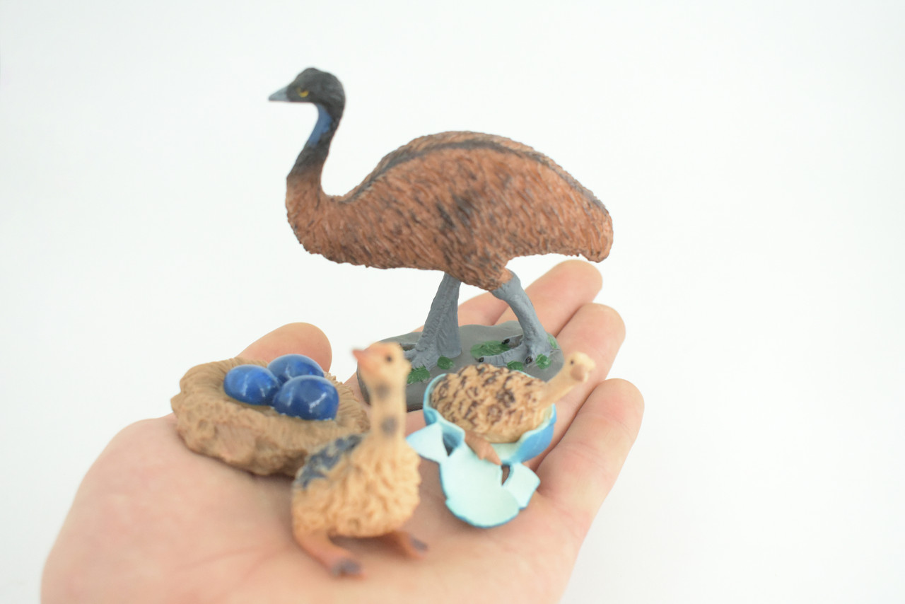 Emu Life Cycle, 4 Piece Set, Hand Painted, Educational, High Quality Rubber Bird, Realistic, Diorama, Figure, Toys, Kids, Gift, 3 1/2 Inches. CH996 BB215