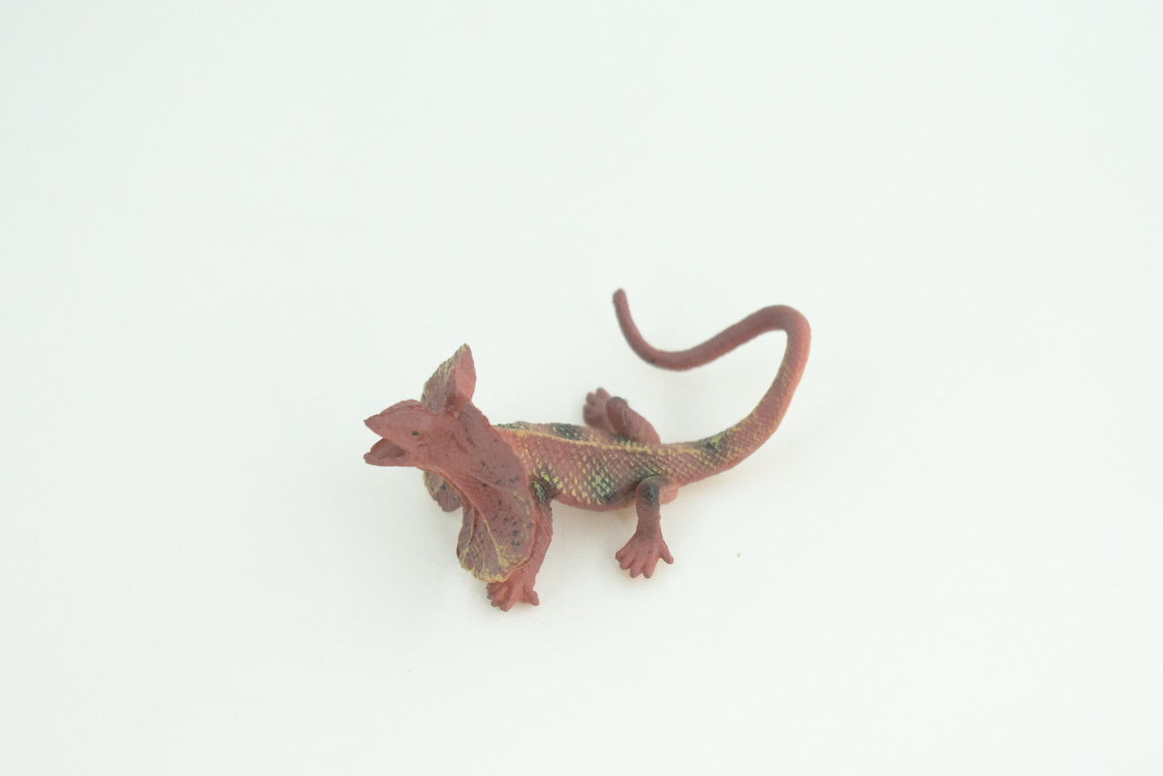 Frilled Lizard Life Cycle, 4 Piece Set, Hand Painted, Educational, High Quality Rubber Reptile, Realistic Lizard, Diorama, Figure, Toys, Kids, Gift,  6  Inches.   CH997 BB215