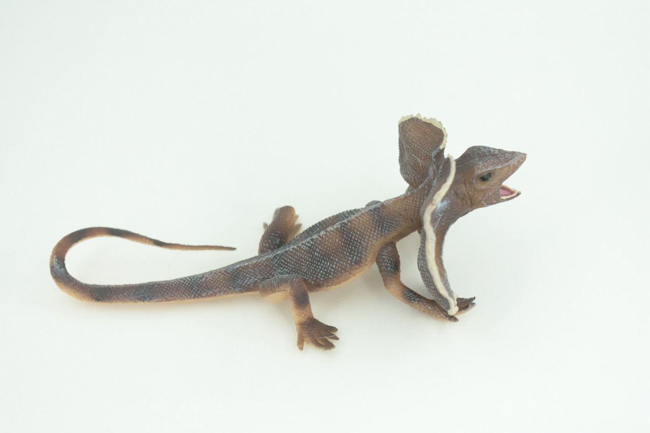 Frilled Lizard Life Cycle, 4 Piece Set, Hand Painted, Educational, High Quality Rubber Reptile, Realistic Lizard, Diorama, Figure, Toys, Kids, Gift,  6  Inches.   CH997 BB215