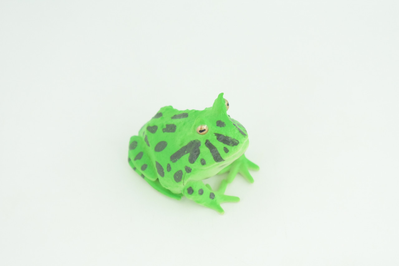 Horned Frog Life Cycle, 5 Piece Set, Hand Painted, Educational, High Quality Rubber Amphibian, Realistic Frog, Diorama, Figure, Toys, Kids, Gift,  2  Inches. CH999 BB215