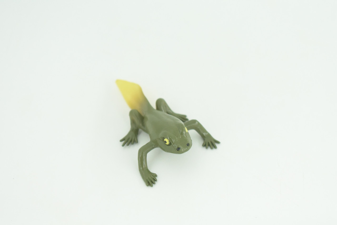 Horned Frog Life Cycle, 5 Piece Set, Hand Painted, Educational, High Quality Rubber Amphibian, Realistic Frog, Diorama, Figure, Toys, Kids, Gift,  2  Inches. CH999 BB215