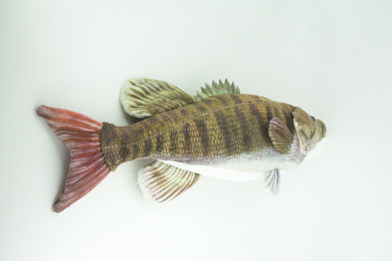 Smallmouth Bass, Realistic Stuffed Plush Fish, Bronzeback, Brown bass, Smallie, Bronze Bass, Small Mouth, Educational, Toy, Kids, Gift,   17 Inches.  CC200 BB55 