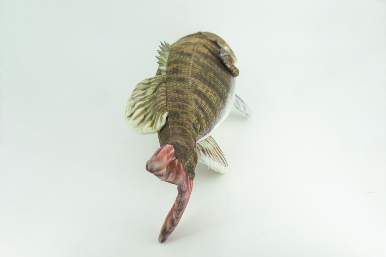 Smallmouth Bass, Realistic Stuffed Plush Fish, Bronzeback, Brown bass, Smallie, Bronze Bass, Small Mouth, Educational, Toy, Kids, Gift,   17 Inches.  CC200 BB55 
