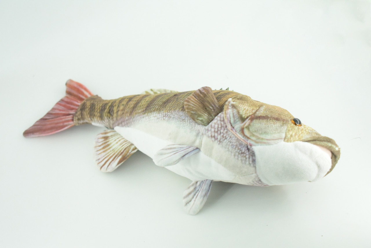 Smallmouth Bass, Realistic Stuffed Plush Fish, Bronzeback, Brown bass, Smallie, Bronze Bass, Small Mouth, Educational, Toy, Kids, Gift,   17 Inches.  CC200 BB55 