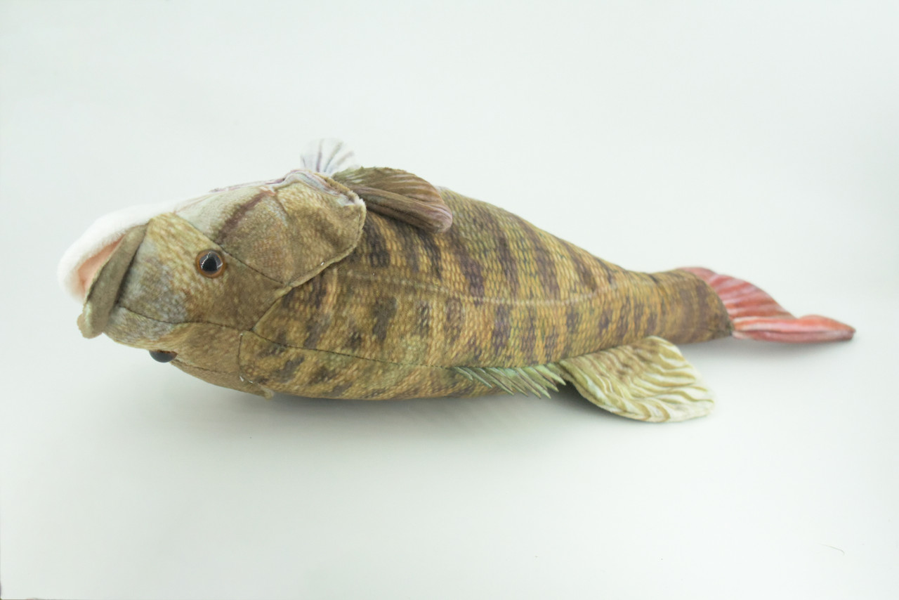Smallmouth Bass, Realistic Stuffed Plush Fish, Bronzeback, Brown bass, Smallie, Bronze Bass, Small Mouth, Educational, Toy, Kids, Gift,   17 Inches.  CC200 BB55 