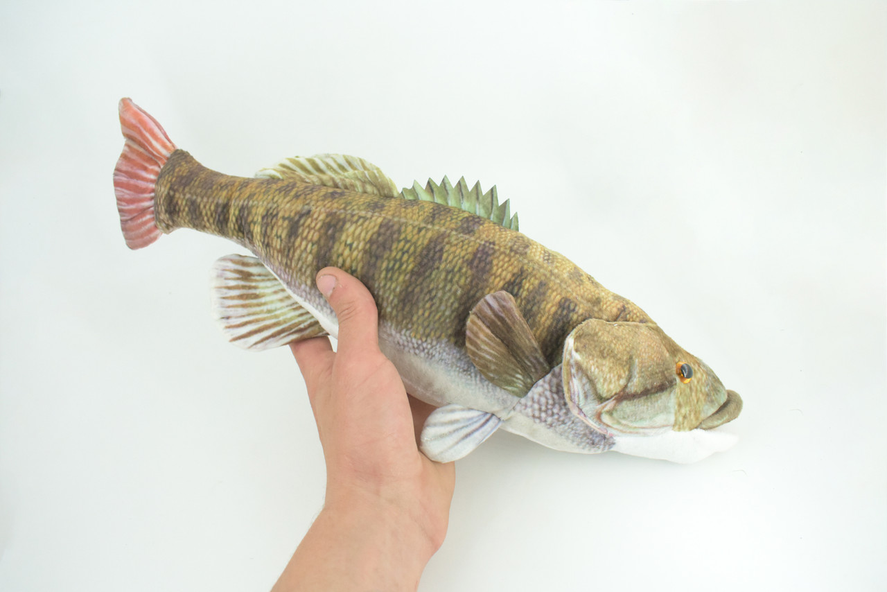 Smallmouth Bass, Realistic Stuffed Plush Fish, Bronzeback, Brown bass, Smallie, Bronze Bass, Small Mouth, Educational, Toy, Kids, Gift, 17 Inches. CC200 BB55