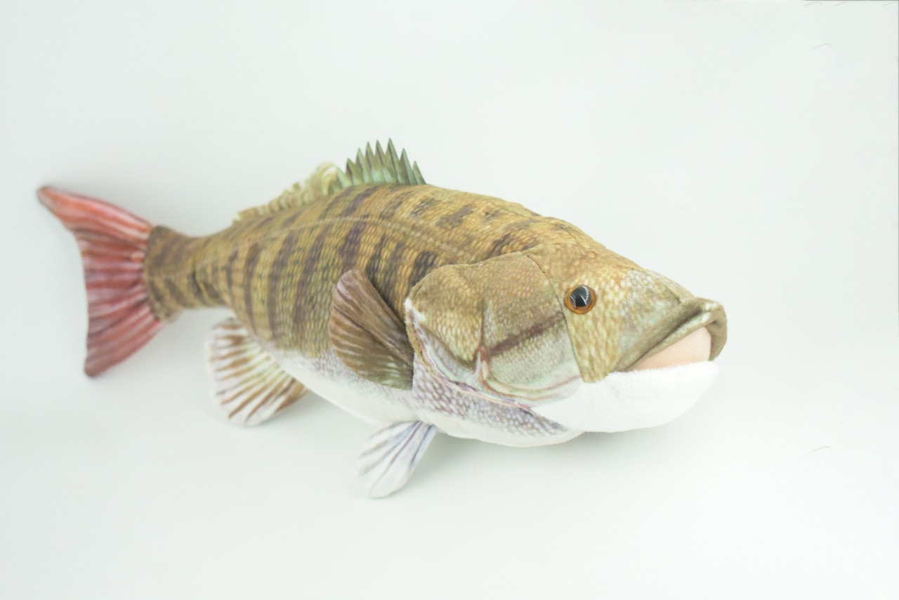 Smallmouth Bass, Realistic Stuffed Plush Fish, Bronzeback, Brown bass, Smallie, Bronze Bass, Small Mouth, Educational, Toy, Kids, Gift,   17 Inches.  CC200 BB55 