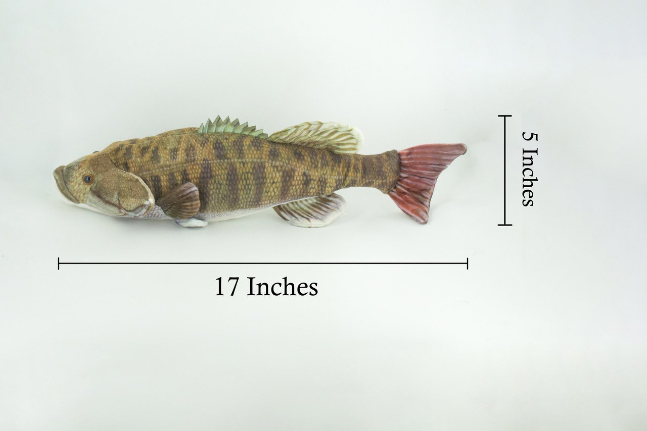 Smallmouth Bass, Realistic Stuffed Plush Fish, Bronzeback, Brown bass, Smallie, Bronze Bass, Small Mouth, Educational, Toy, Kids, Gift, 17 Inches. CC200 BB55