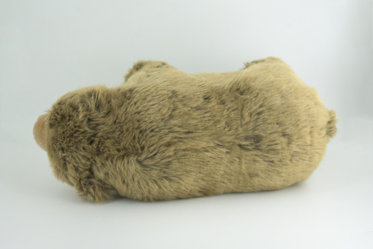 Grizzly Bear, Brown Bear, Realistic Stuffed Plush Animal, Realistic Figure, Lifelike Model, Educational, Toy, Kids, Gift,   12 Inches.  CC196 BB2