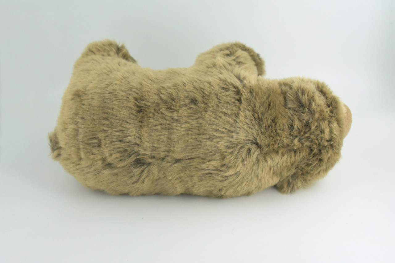 Grizzly Bear, Brown Bear, Realistic Stuffed Plush Animal, Realistic Figure, Lifelike Model, Educational, Toy, Kids, Gift,   12 Inches.  CC196 BB2