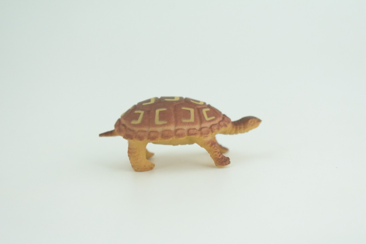 Tortoise, Turtle, Box Turtle, Rubber Reptile, Educational, Realistic, Hand Painted, Figure, Lifelike Model, Figurine, Replica, Gift,     2 Inches.      F427A B311