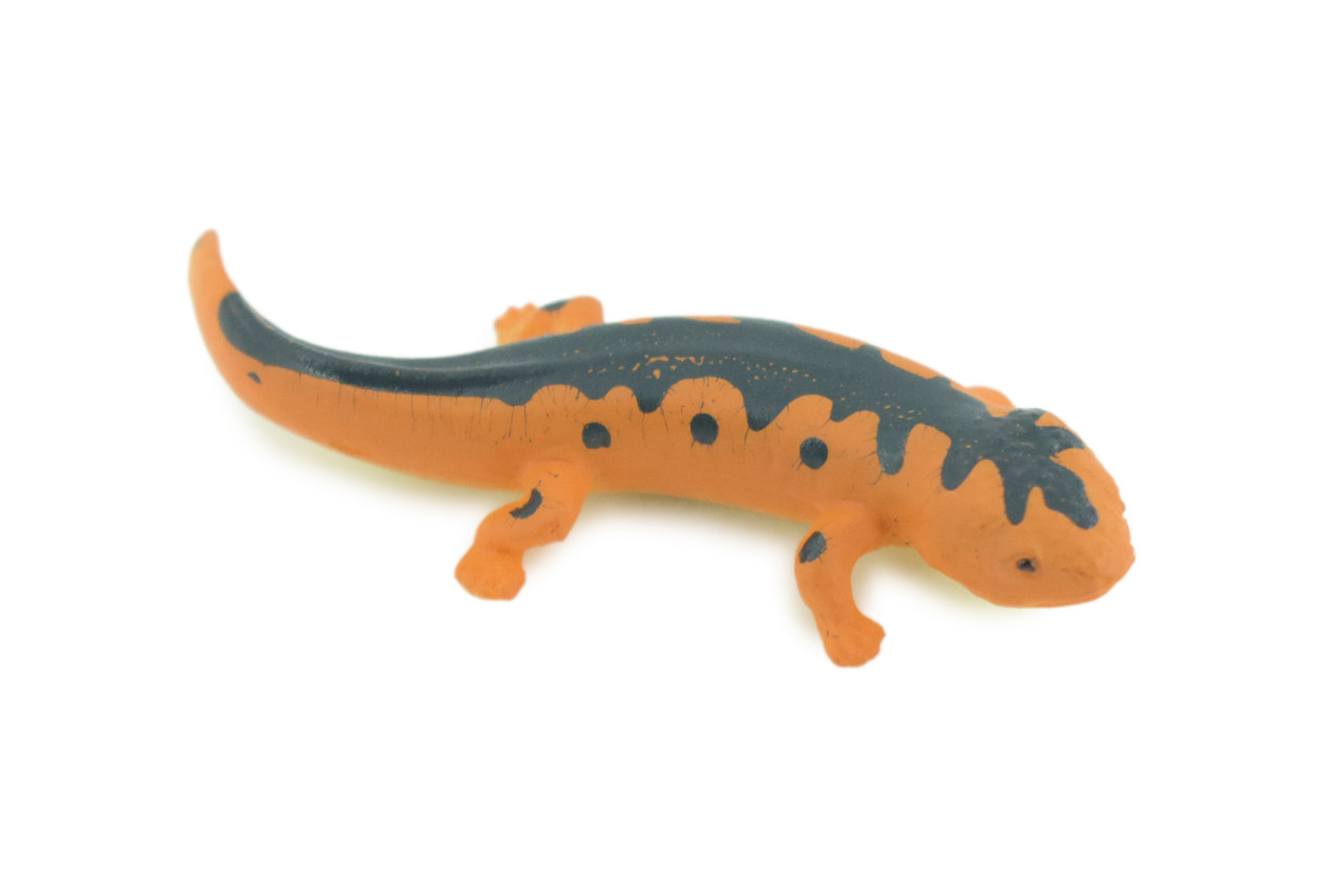 Eastern Orange Newt, Lizard, Rubber Reptile, Hand Painted, Educational, Realistic, Model, Replica, Toys, Kids, Gift, 2 1/2 Inches. WR38 B197
